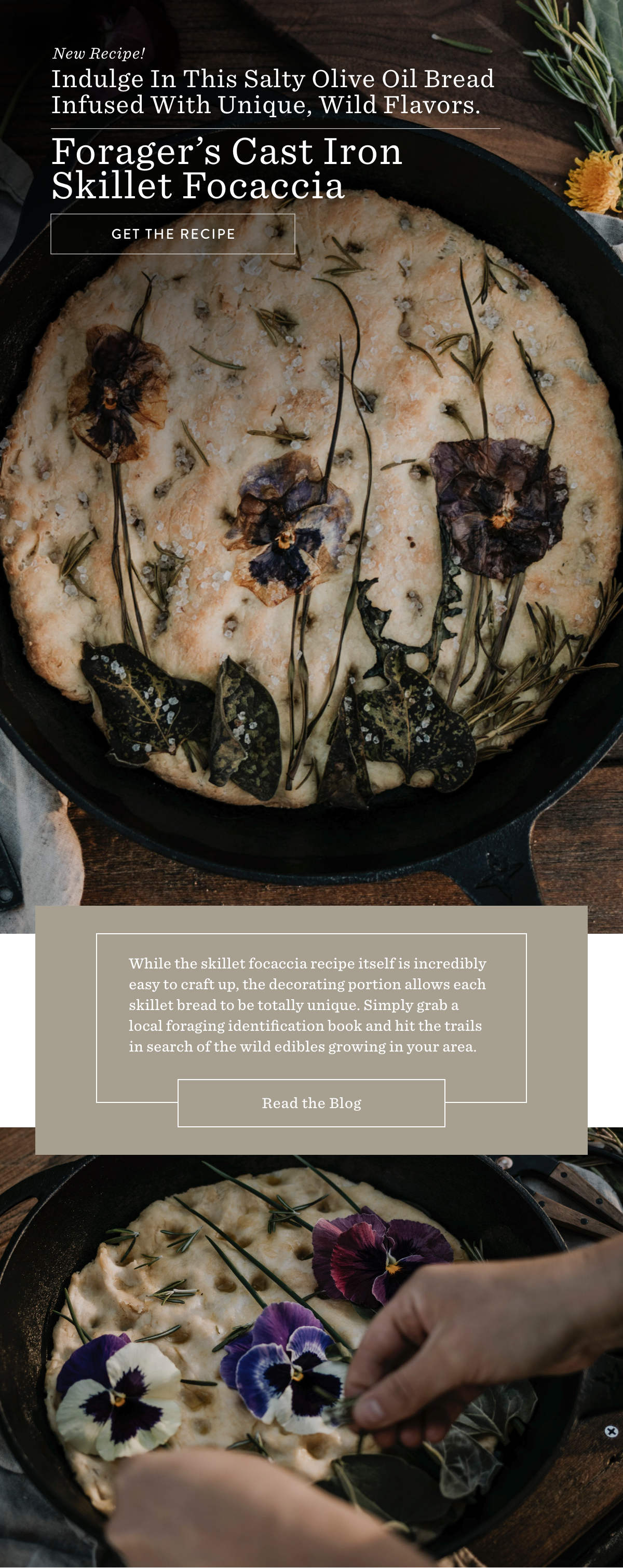Get the Recipe