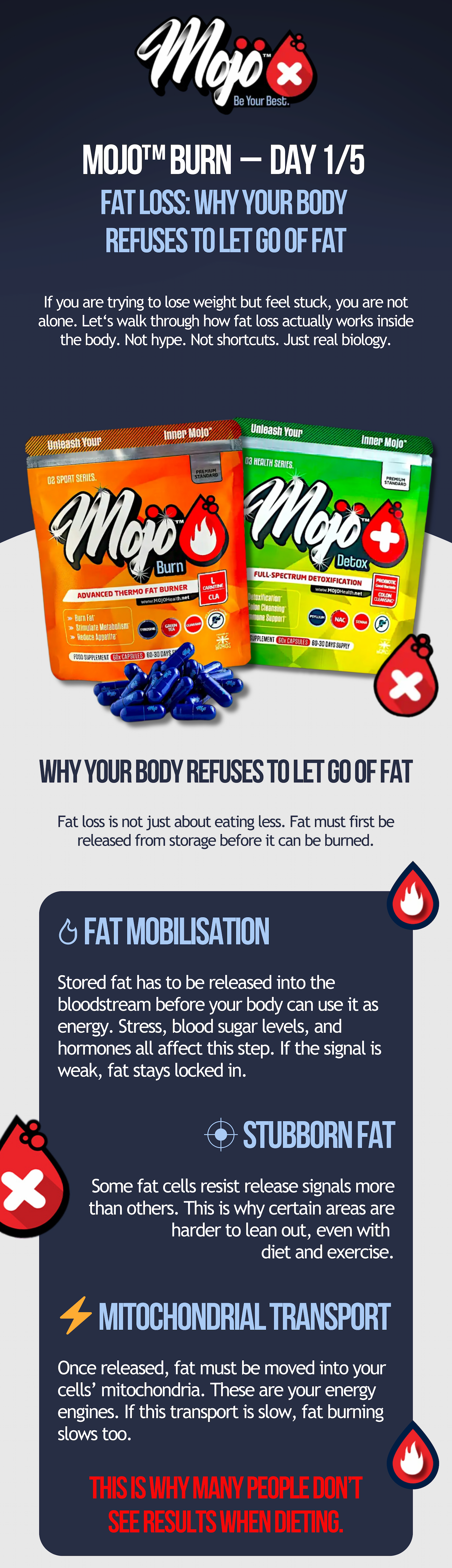 Mojo burn - day 1/5. Why your body refuses to let go of fat