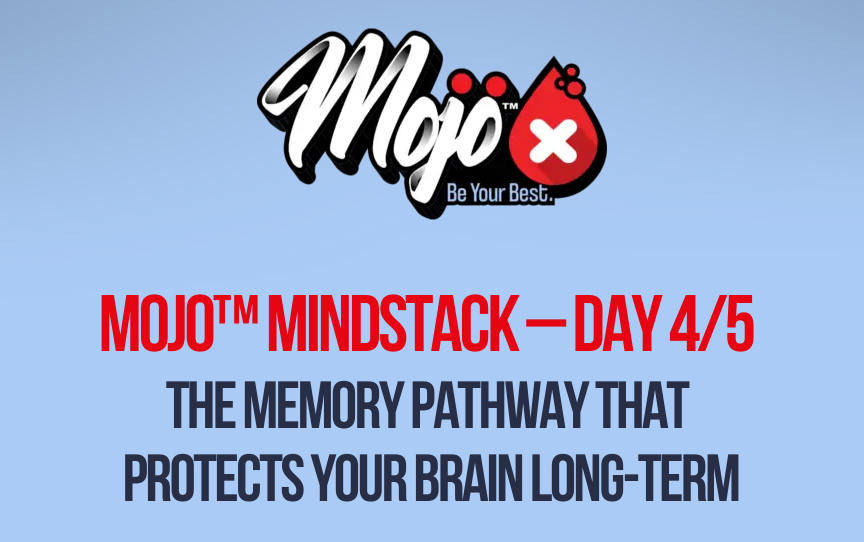 mojo mindstack day 4/5: the memory pathway that protects your brain long term
