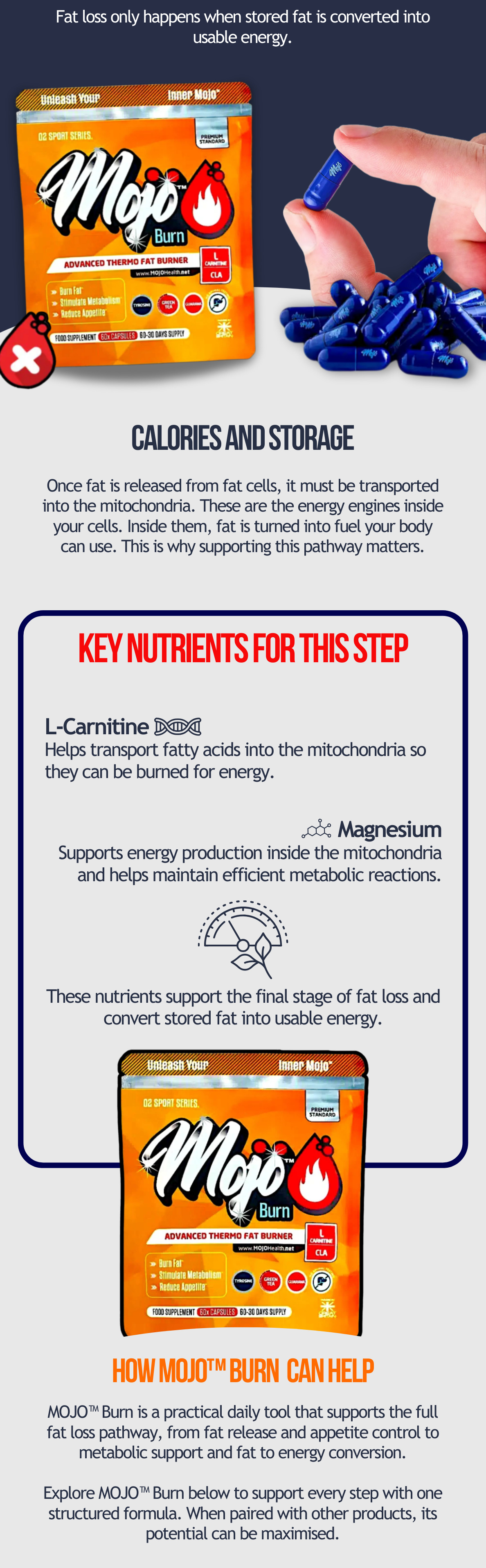 Mojo burn day 5/5: the switch that turns fat into fuel