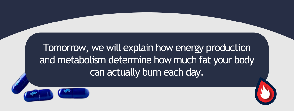 tomorrow we will explain how energy production and metabolism determine how much fat your body can actually burn each day