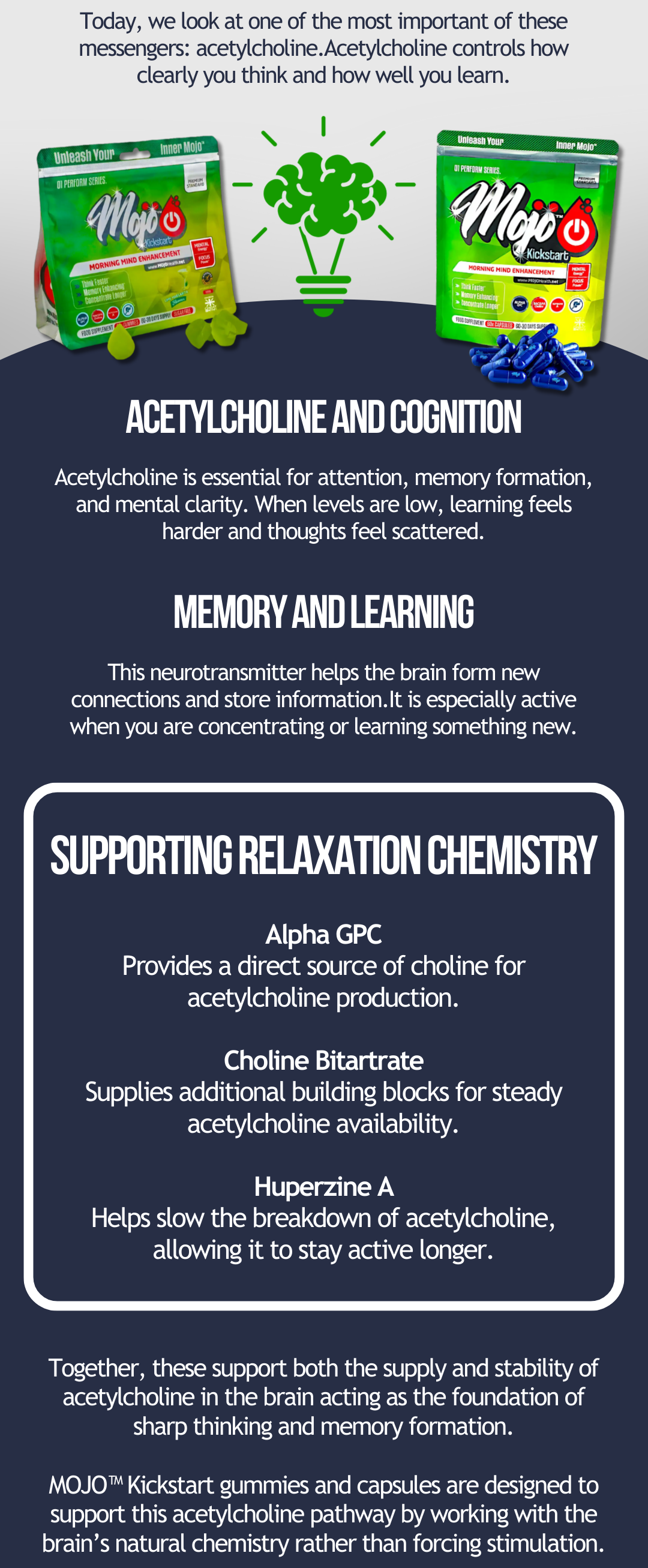 mojo mind stack day 2/5: the memory chemical most people are missing