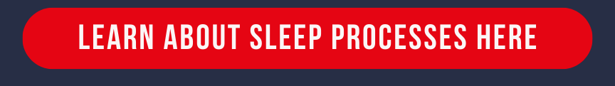 learn about the sleep processes