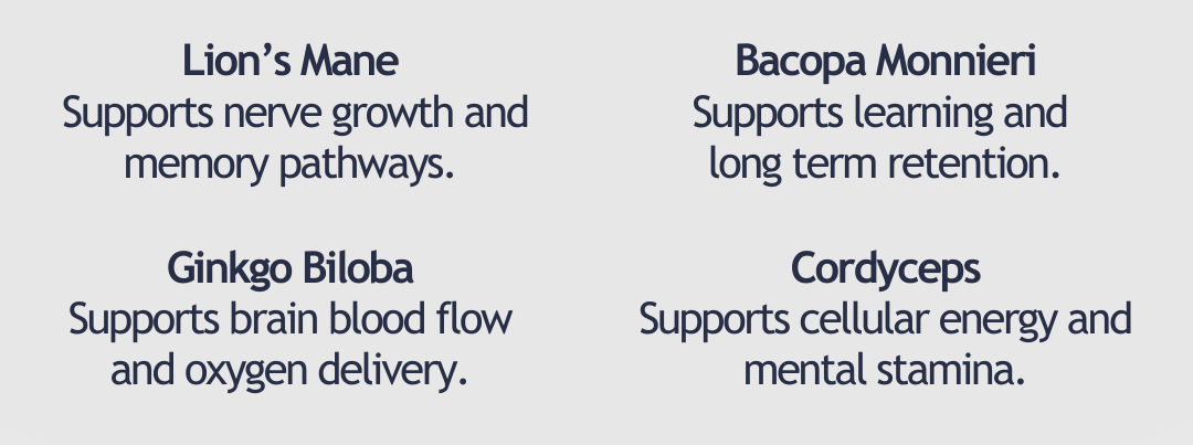 mojo mindstack day 4/5: the memory pathway that protects your brain long term