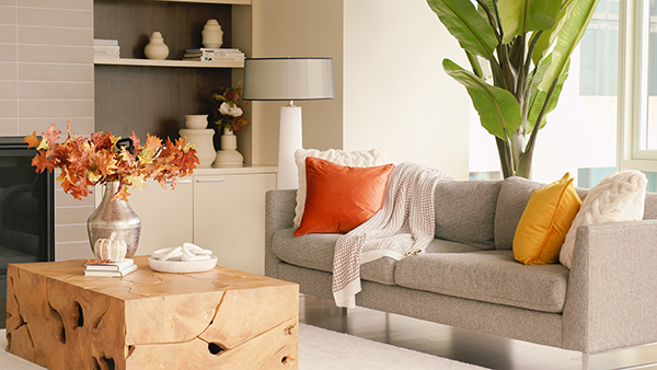 Home Décor Tips You Need To Know