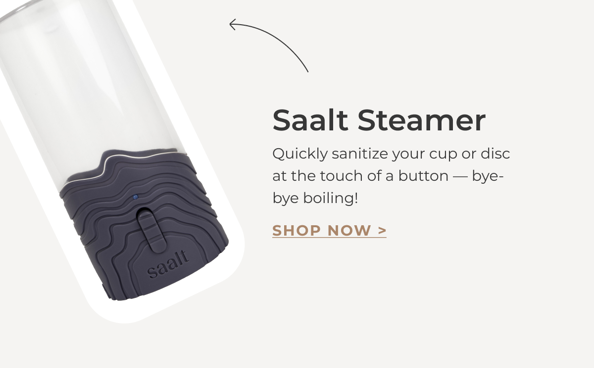 Saalt Steamer