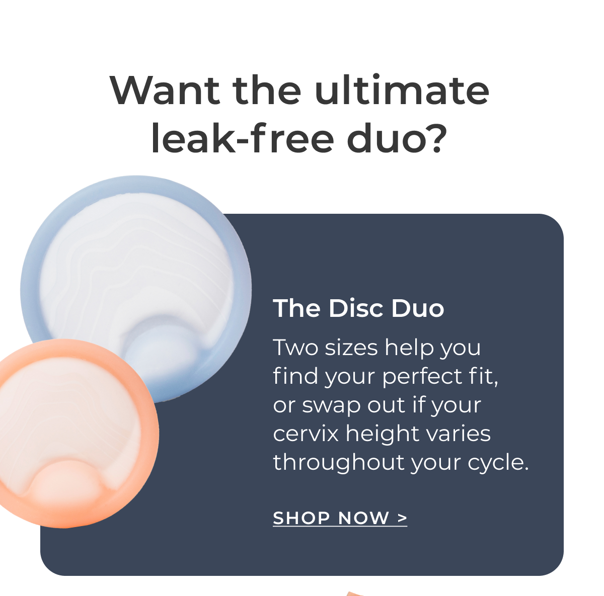 Shop Disc Duo