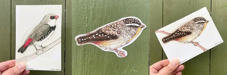 Diamond Firetail and Spotted Pardalote stickers