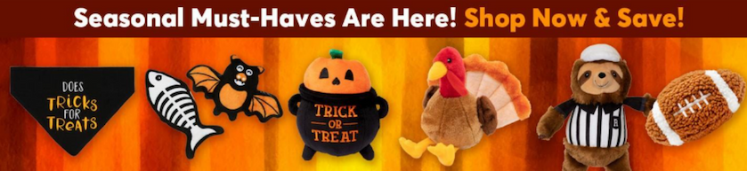 Fall Favorites