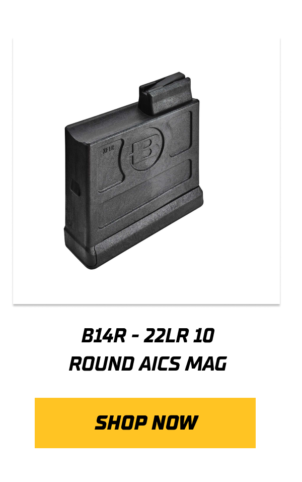 B14R - 22LR 10 ROUND AICS MAG