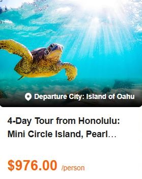 4-Day Tour from Honolulu: Mini Circle Island, Pearl Harbor & City Tour, Polynesian Cultural Center and North Shore Sightseeing Tour | 2-14 Pax Small Group Tour 5.0 (0 reviews) Tour Code: 663033