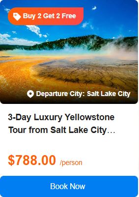 3-Day Luxury Yellowstone Tour from Salt Lake City【Max 14 Pax Small Group】: Great Salt Lake, The Grand Prismatic Hot Spring, Old Faithful Geyser 5.0 (0 reviews) Tour Code: 672768