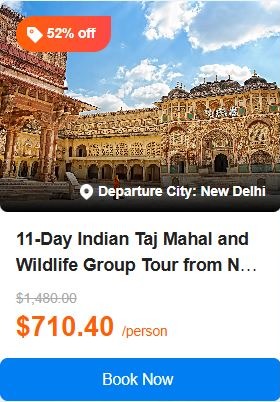 11-Day Indian Taj Mahal and Wildlife Group Tour from New Delhi: Jaipur, Jodhpur and Udaipur丨Ranthambore National Park, Tiger Safari and Royal Stays 5.0 (5 reviews) Tour Code: 738960