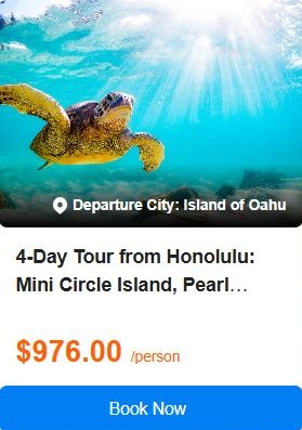 4-Day Tour from Honolulu: Mini Circle Island, Pearl Harbor & City Tour, Polynesian Cultural Center and North Shore Sightseeing Tour | 2-14 Pax Small Group Tour 5.0 (0 reviews) Tour Code: 663033