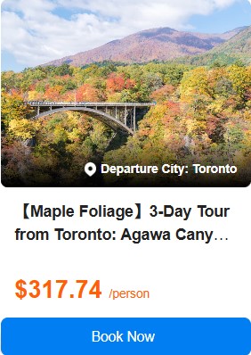 【Maple Foliage】3-Day Tour from Toronto: Agawa Canyon Railway and Algonquin Park | Admission in Algonquin Dorset Lookout Tower and 1 Day Free Breakfast Included 3.7 (7 reviews) Tour Code: 45333