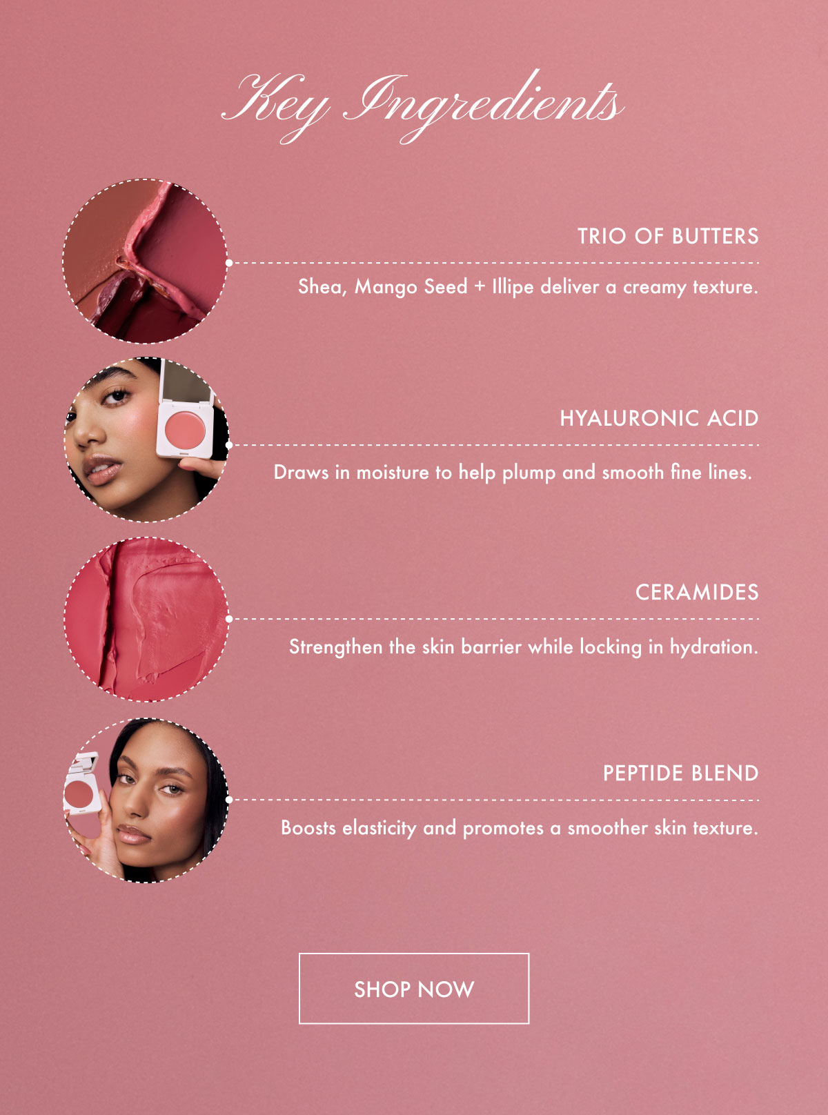 Key Ingredients - Shop Now