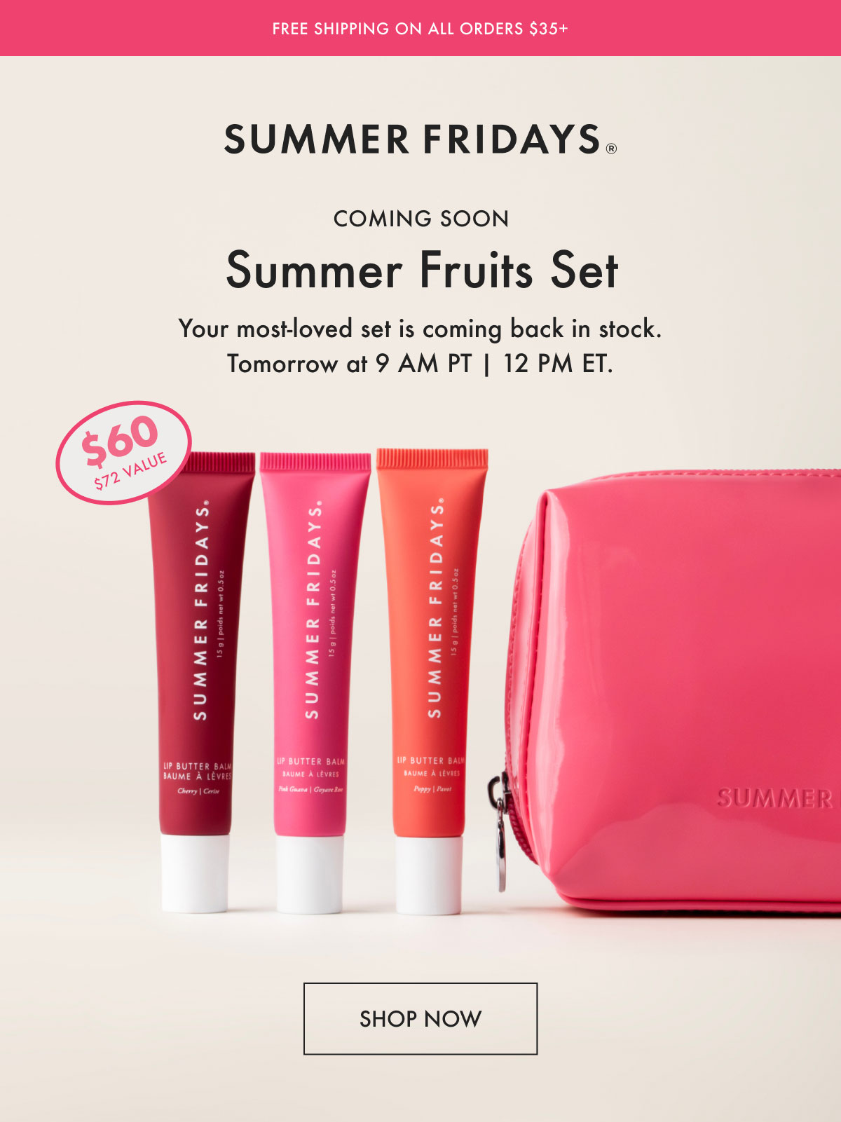 Summer Fruits Set