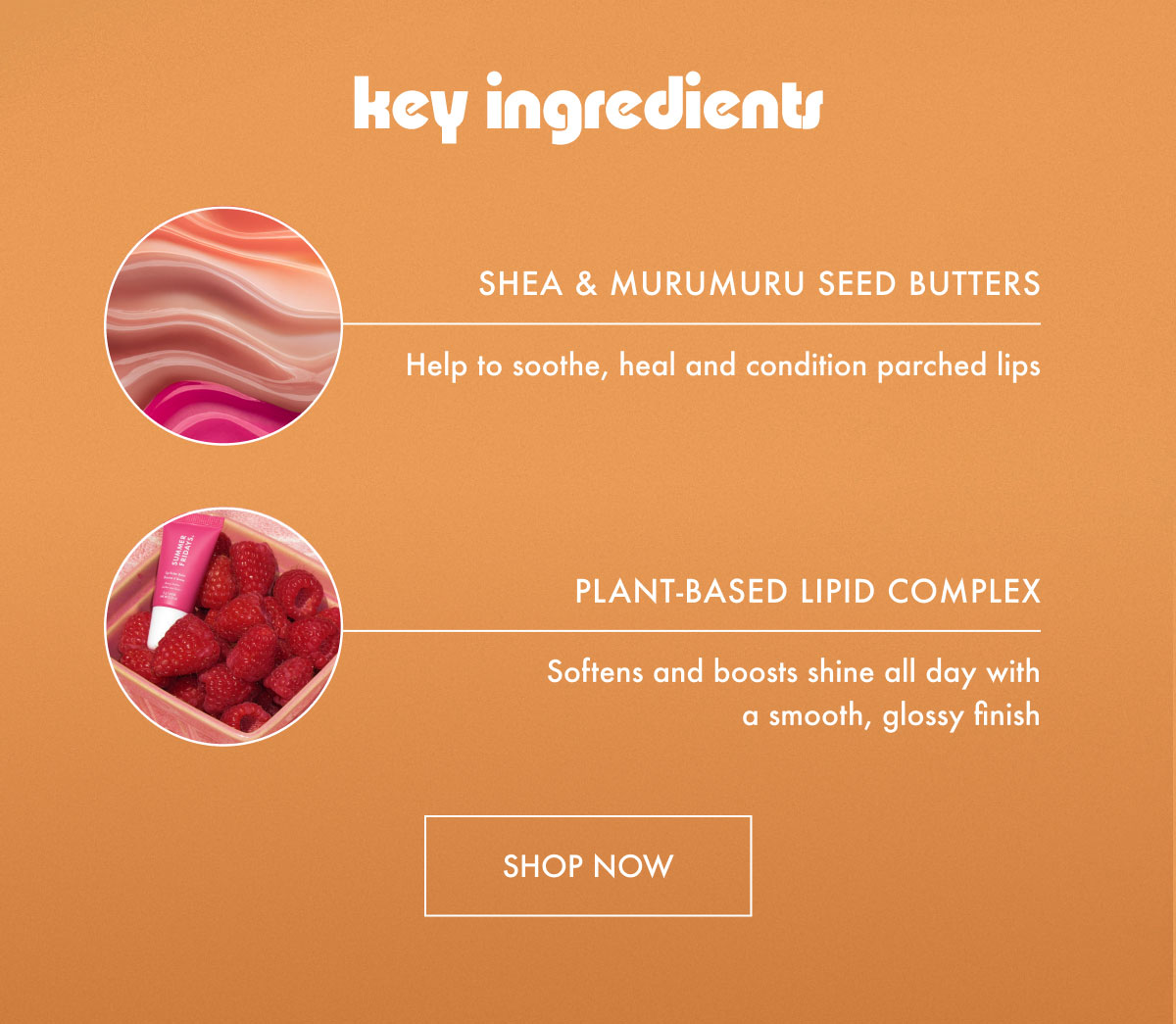 Key Ingredients - Shop Now