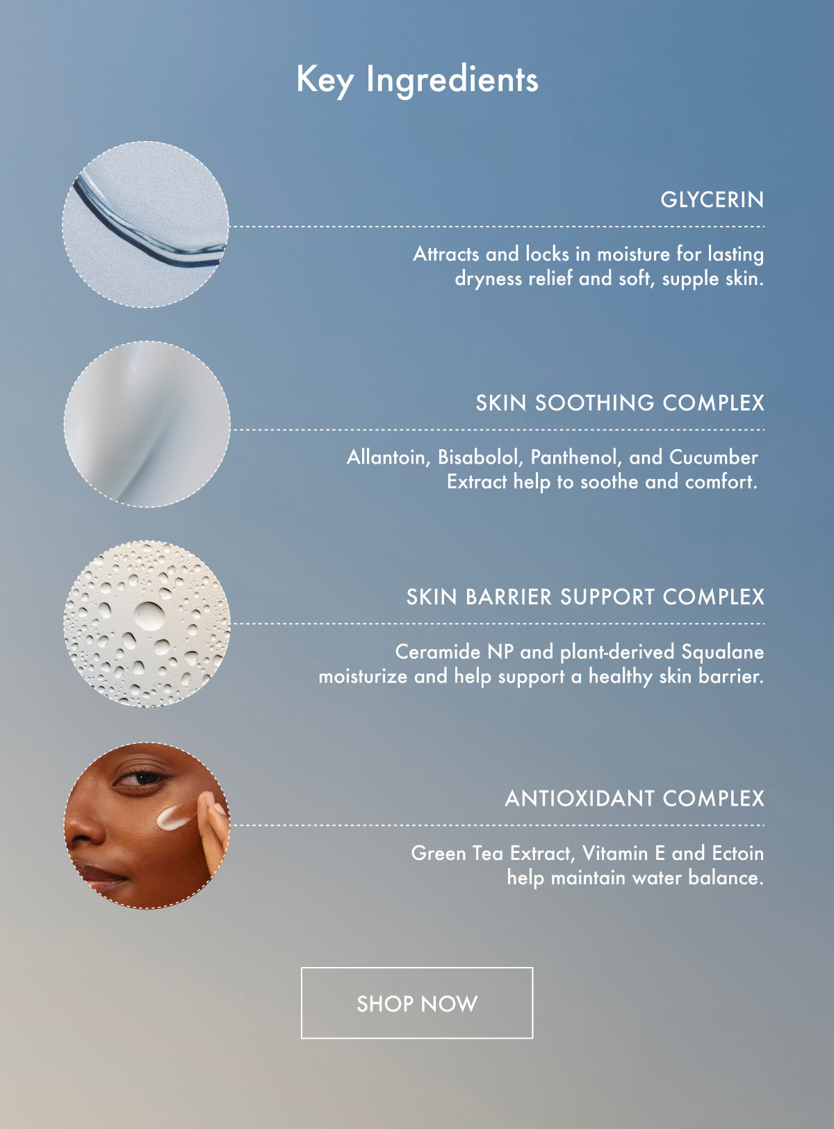 Key Ingredients - Shop Now