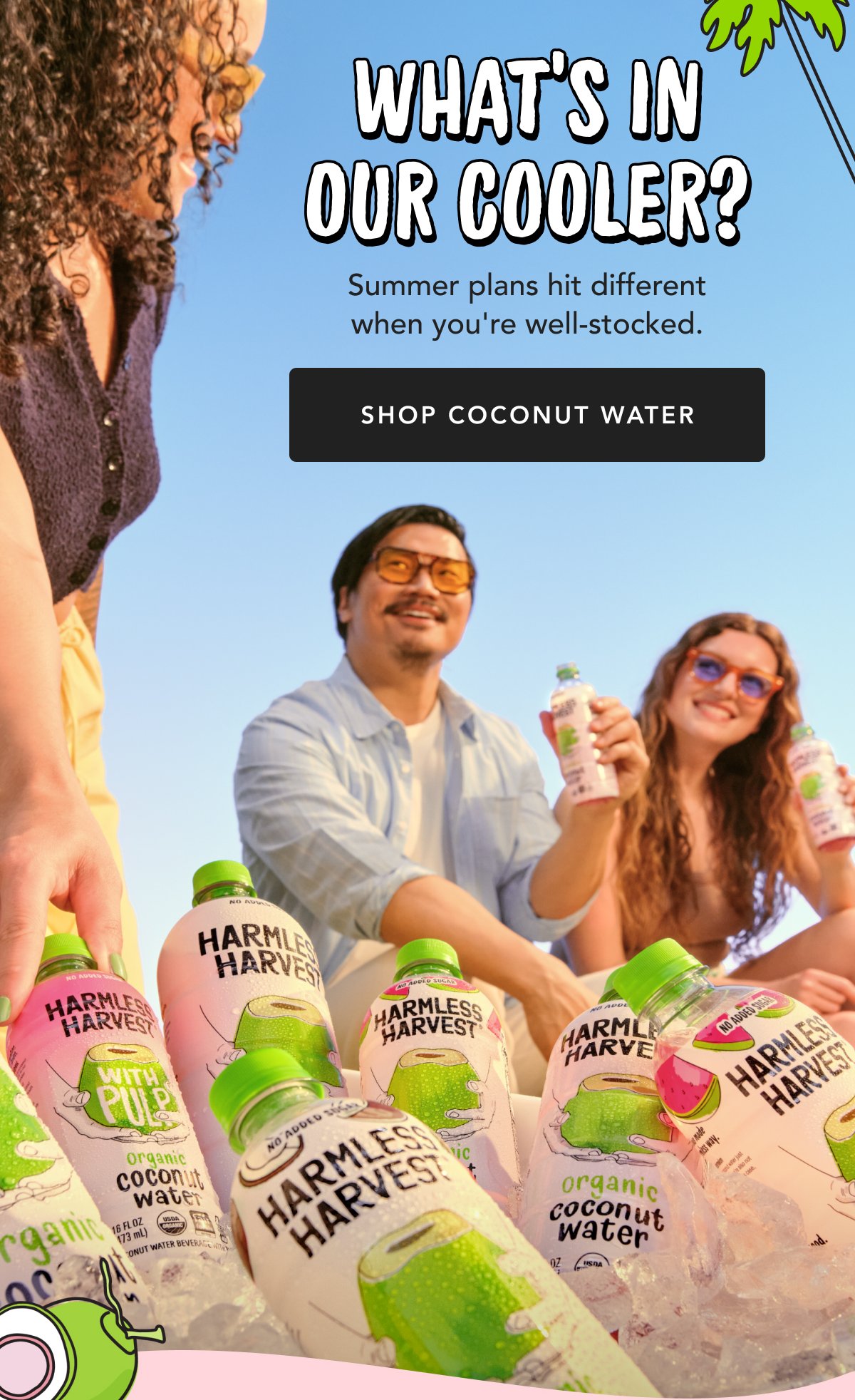 What's In Our Cooler? Summer plans hit different when you're well-stocked. Shop Coconut Water