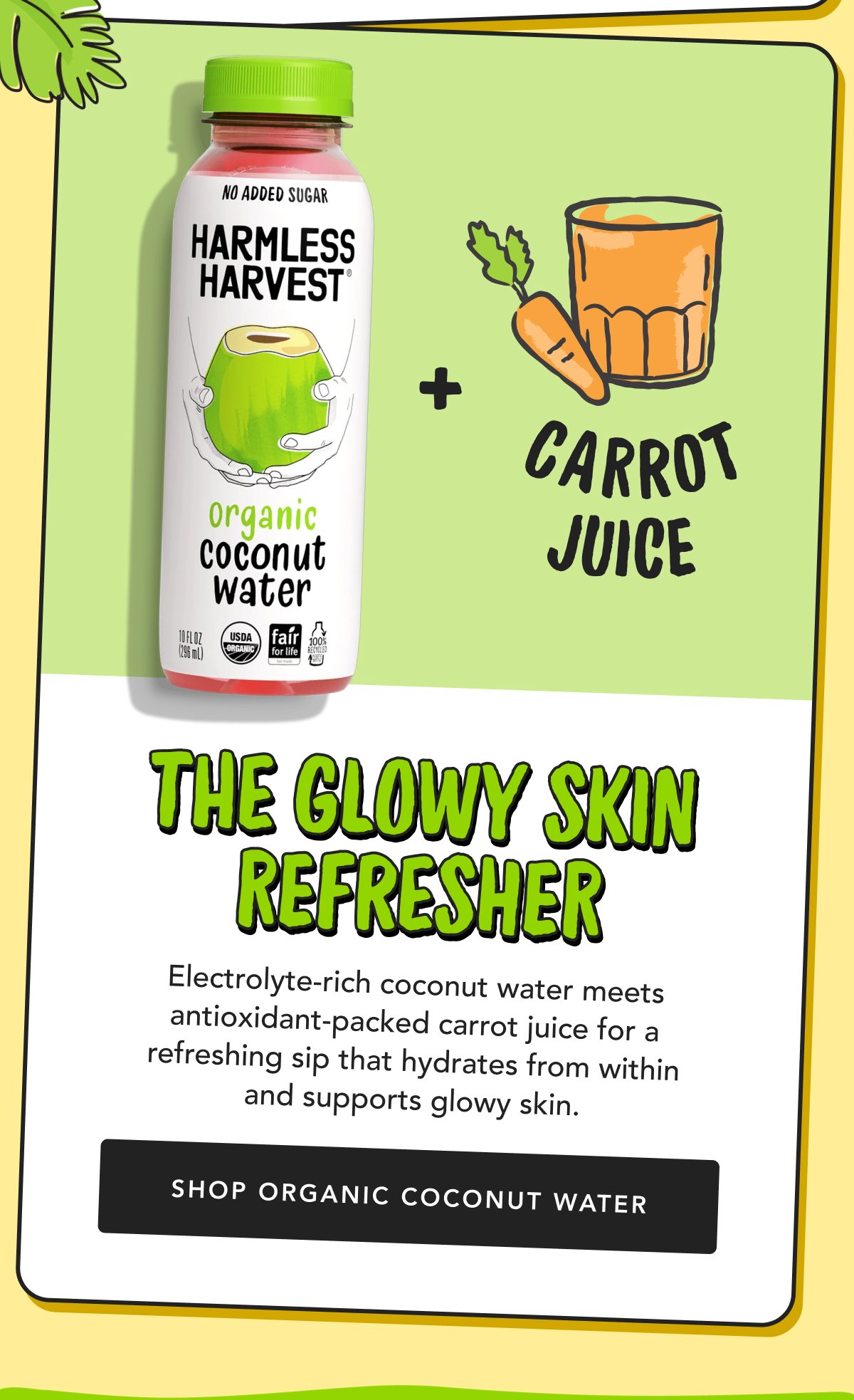 The Glowy Skin Refresher | Electrolyte-rich coconut water meets antioxidant-packed carrot juice for a refreshing sip that hydrates from within and supports glowy skin. | Shop Organic Coconut Water