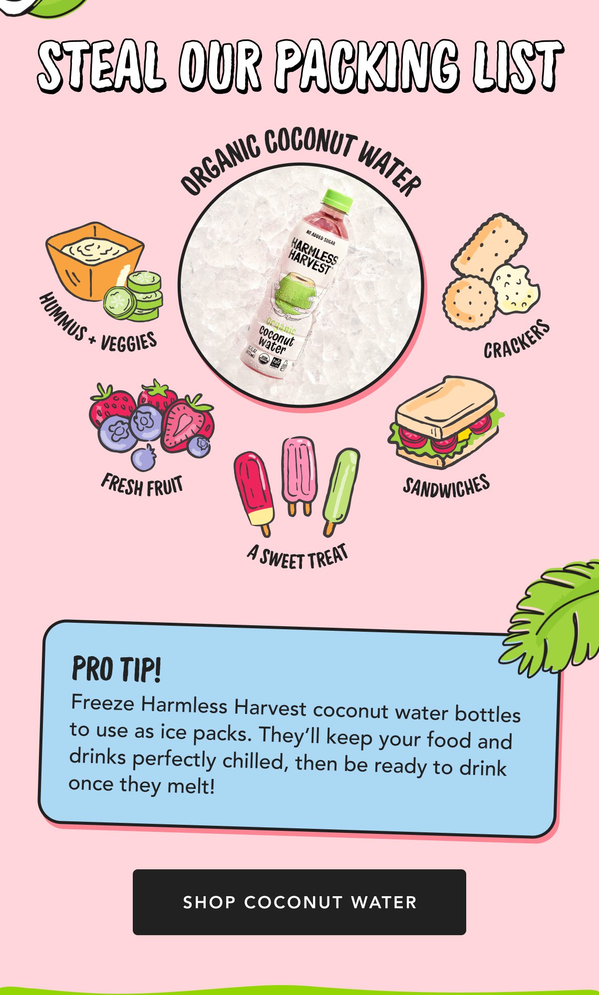 Steal Our Packing List | Freeze Harmless Harvest coconut water bottles to use as ice packs. They’ll keep your food and drinks perfectly chilled, then be ready to drink once they melt! Pro Tip! | Shop Coconut Water