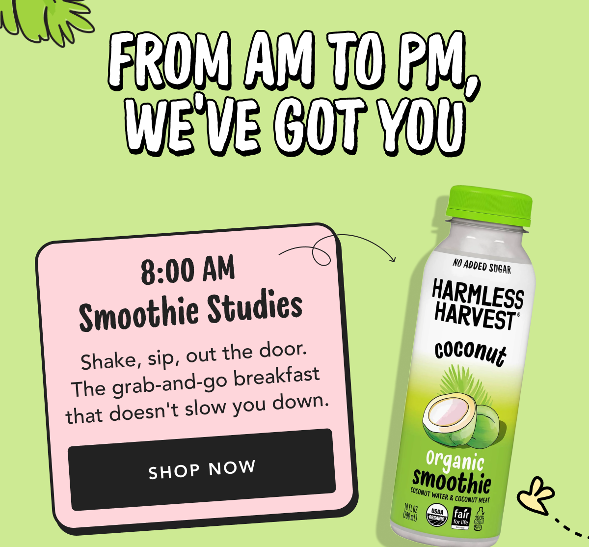 From Am To Pm, We've Got You 8:00 Am Smoothie Studies Shake, sip, out the door. The grab-and-go breakfast that doesn't slow you down. Shop Now