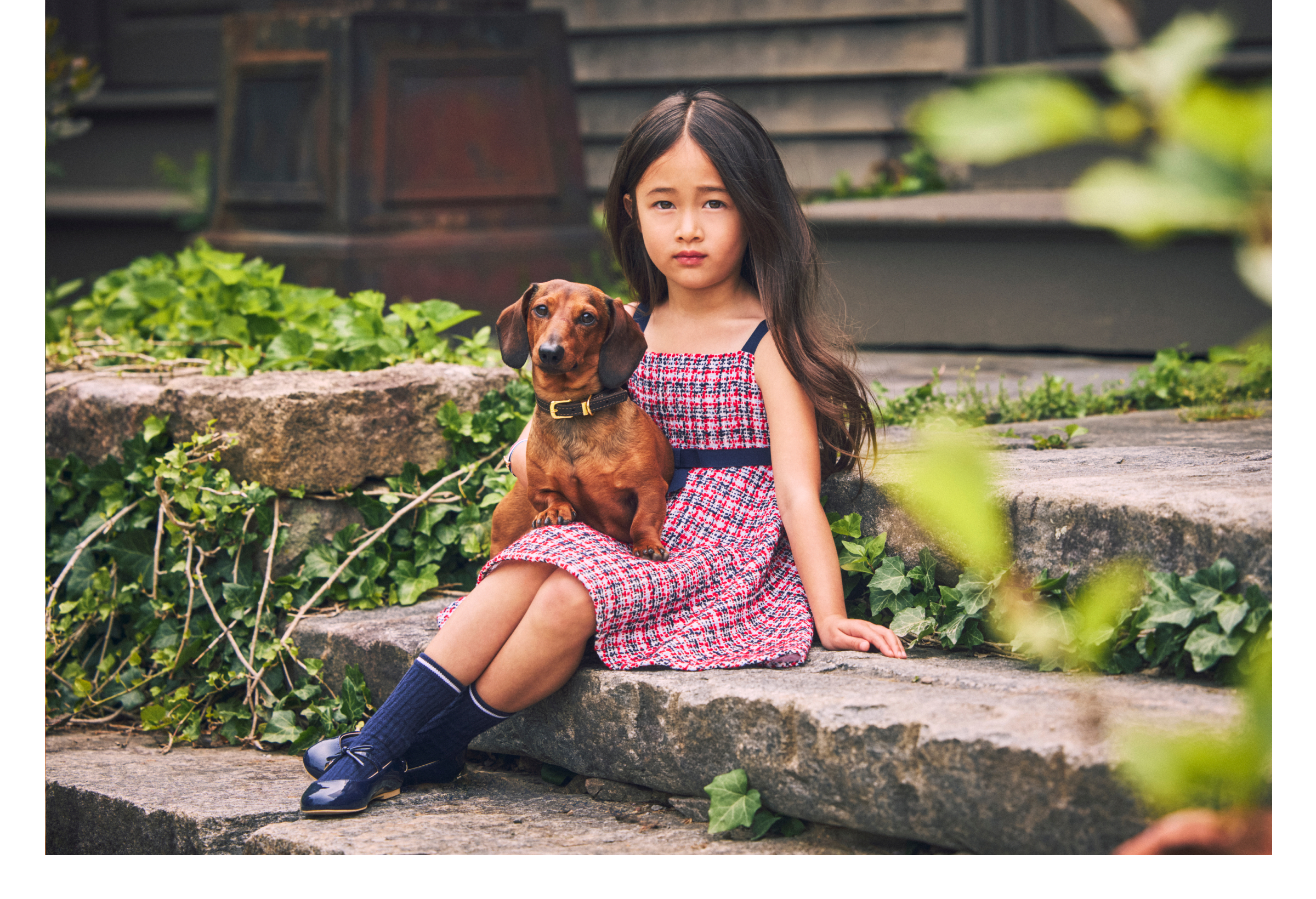 A young girl in a red tweed dress and navy knee socks sitting on stone steps holding a dachshund dog, surrounded by ivy