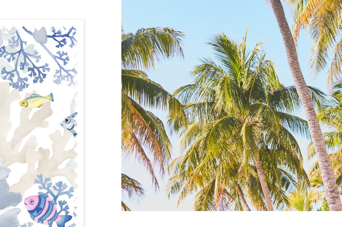 Tropical palm trees and coral reef illustration with fish