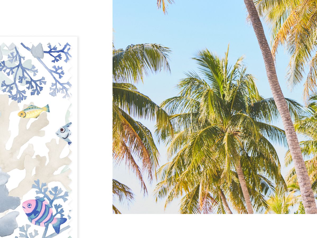 Palm trees against blue sky with decorative coral and fish pattern border