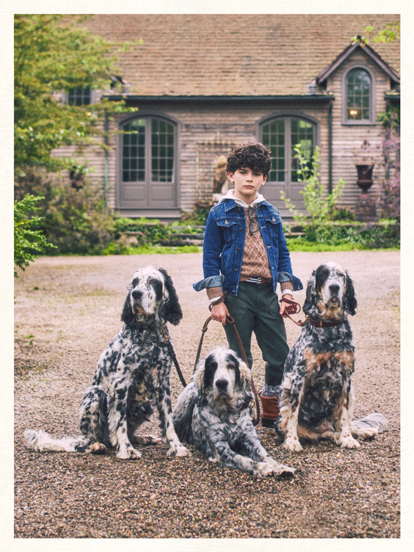 A young boy in a denim jacket and green trousers holding leashes of three English Setter dogs in front of a rustic house