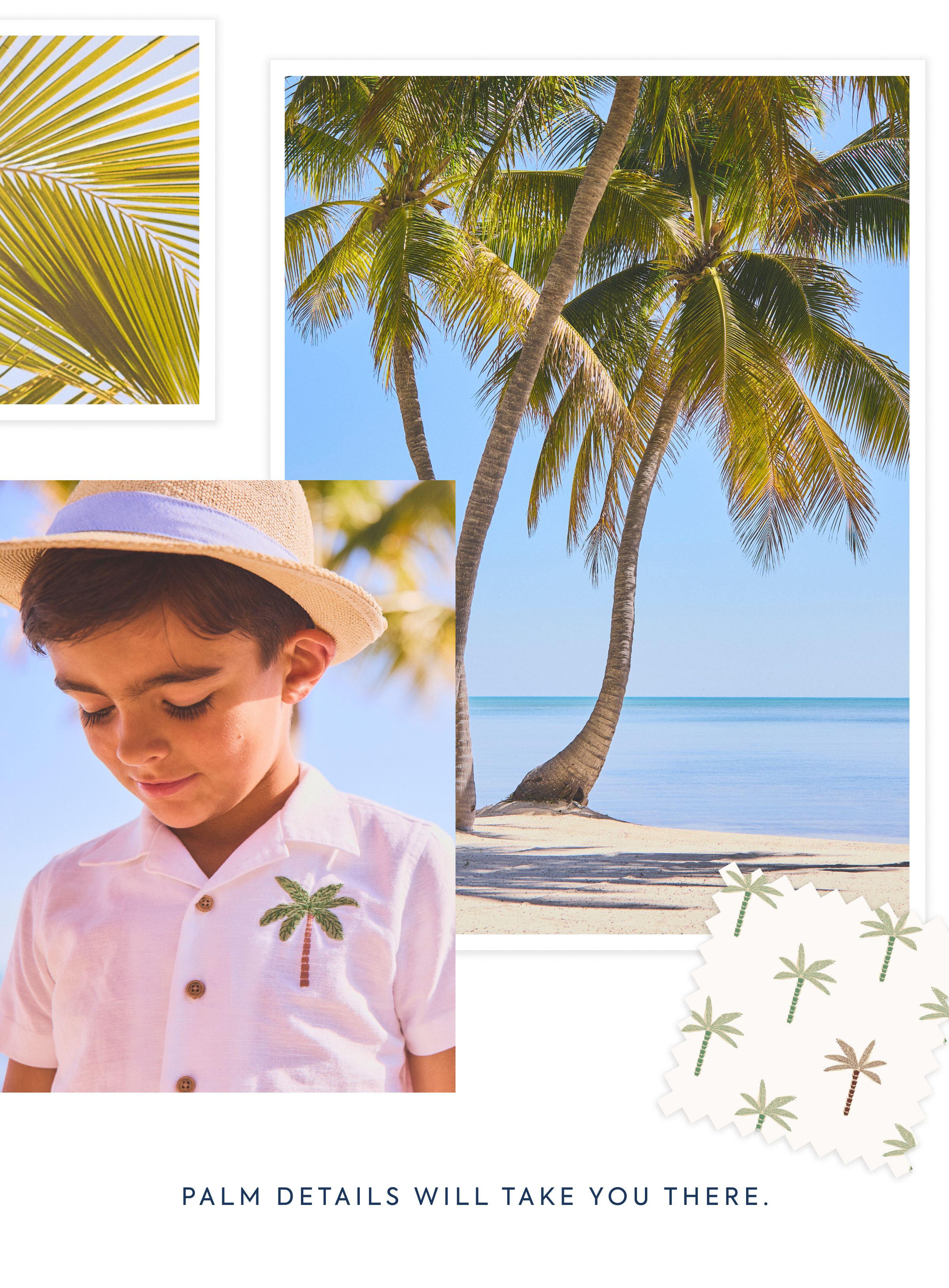 PALM DETAILS WILL TAKE YOU THERE.