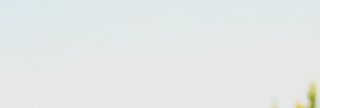 The image appears to be mostly blank or very light gray with minimal visible content.