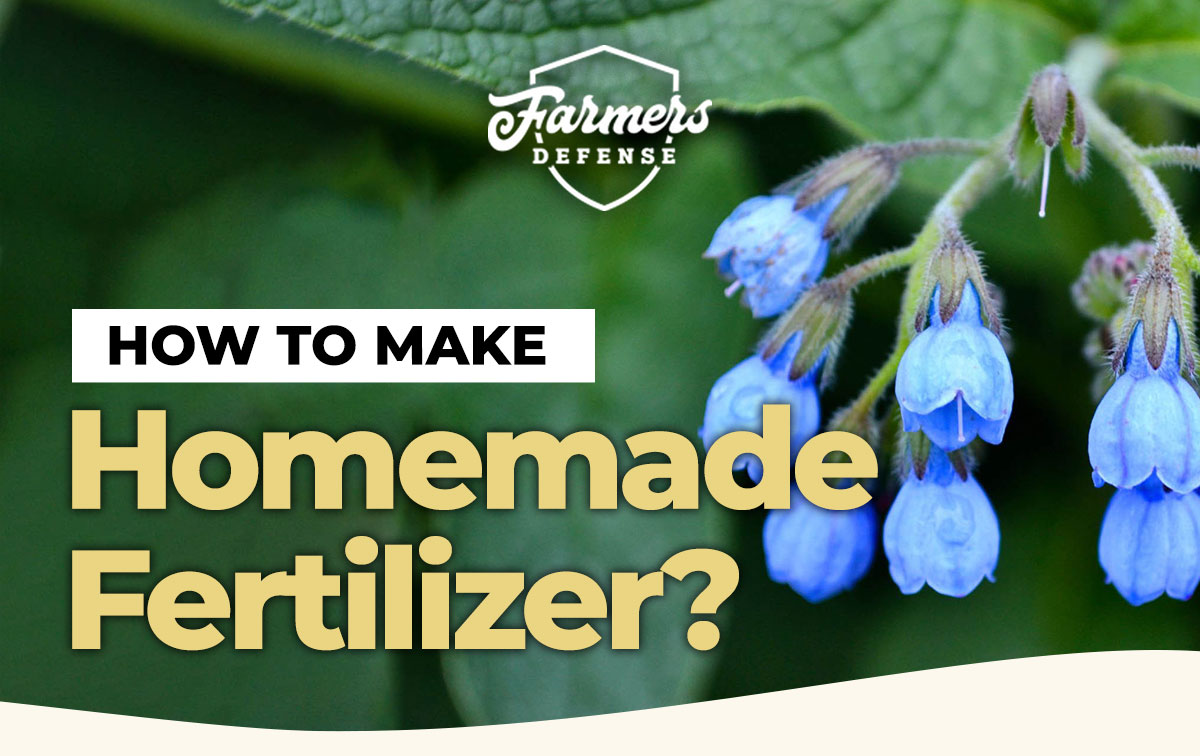 Here Is How To Make Natural Fertilizer At Home! Farmers Defense