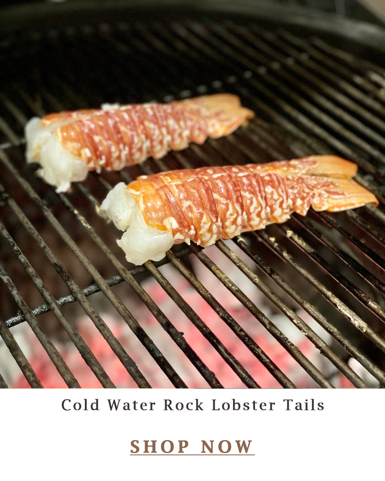 Cold Water Rock Lobster Tails