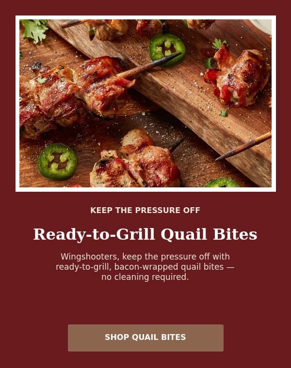 Grilling Thermometer Special
