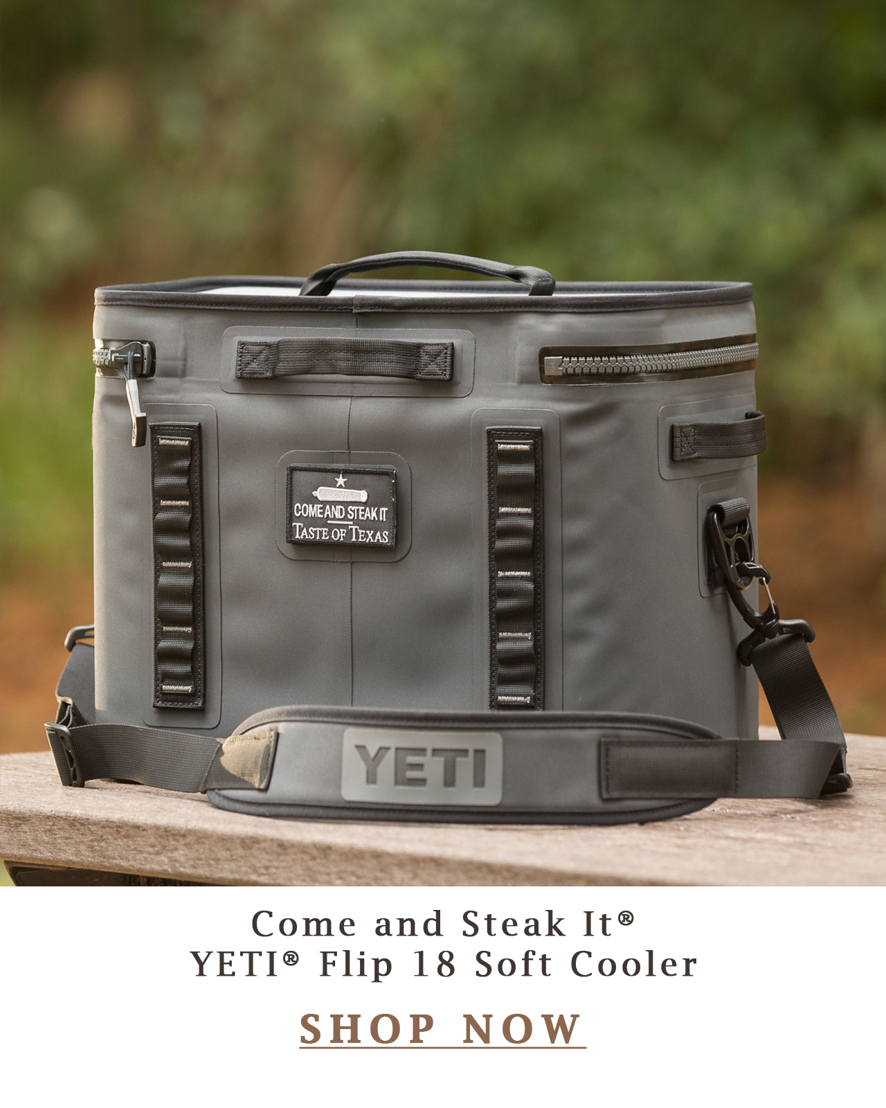 Come and Steak It YETI Flip 18 Soft Cooler