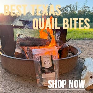 Best Texas Quail Bites