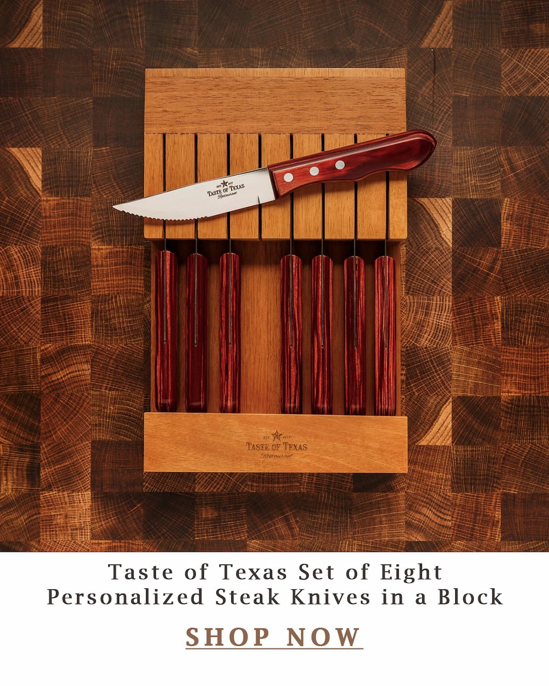 Taste of Texas Eight Steak Knives in a Block