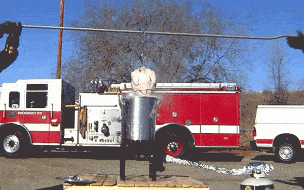 Avoid a Thanksgiving Turkey Disaster!