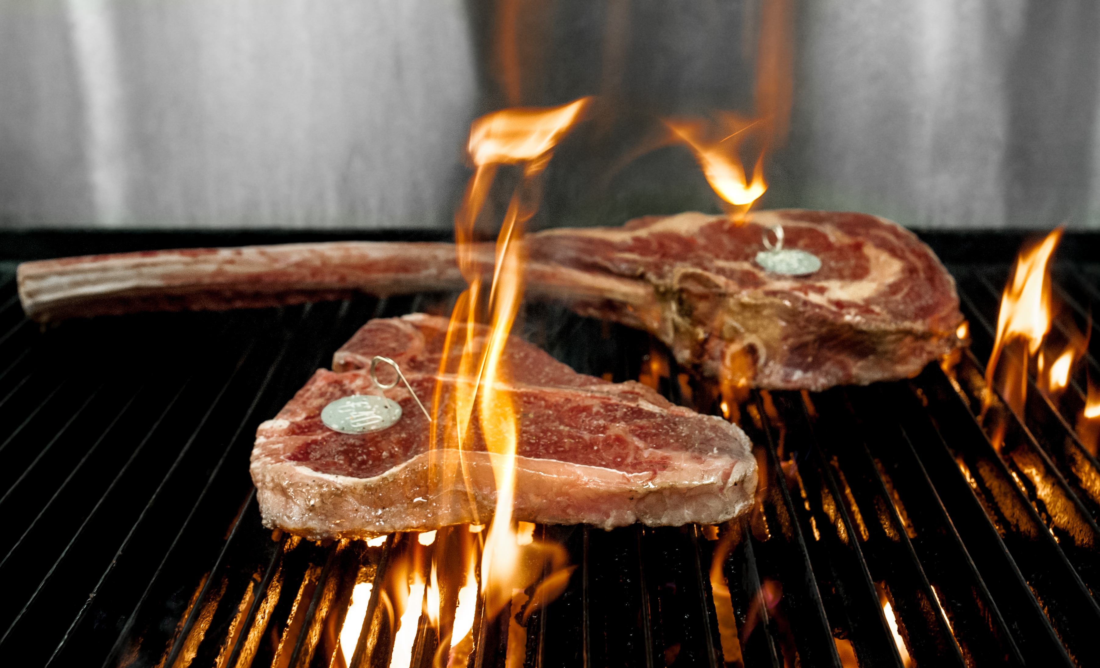 Taste of Texas Grill