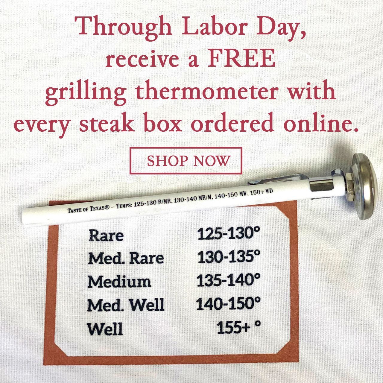 Grilling Thermometer Special