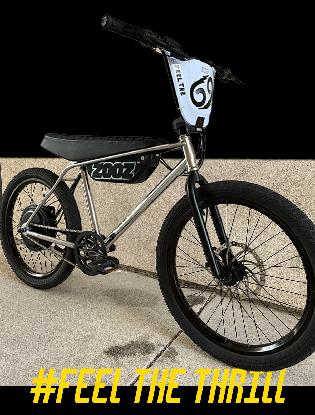 Werd's Chrome Bike