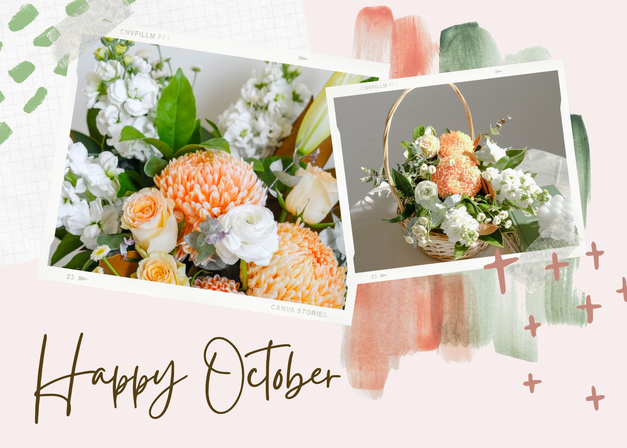 introducing-the-october-baby-amazing-graze-flowers