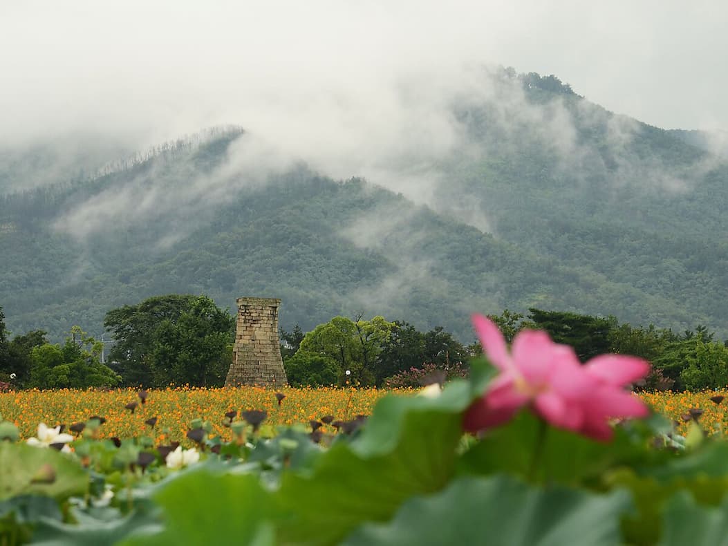 Cheomseongdae Tower field
