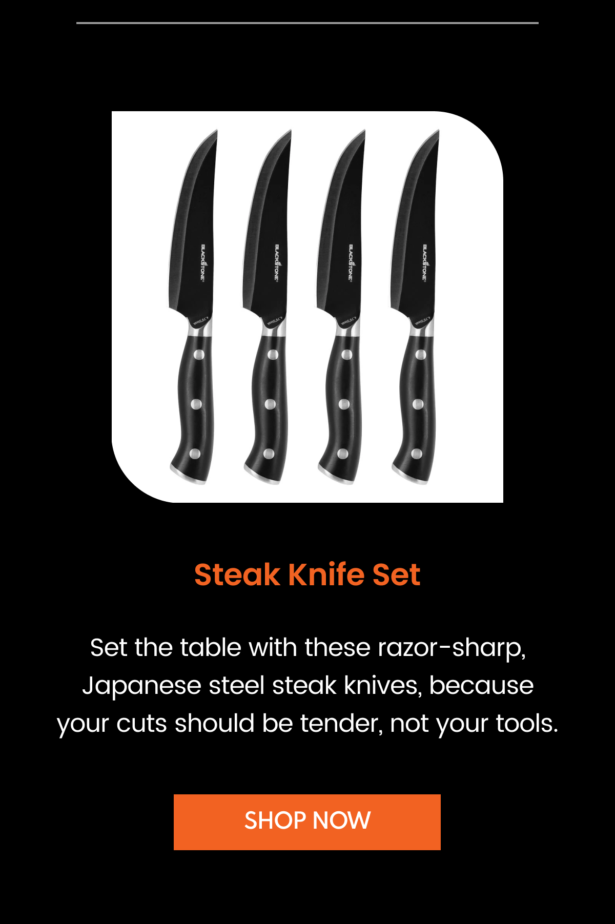 Steak Knife Set