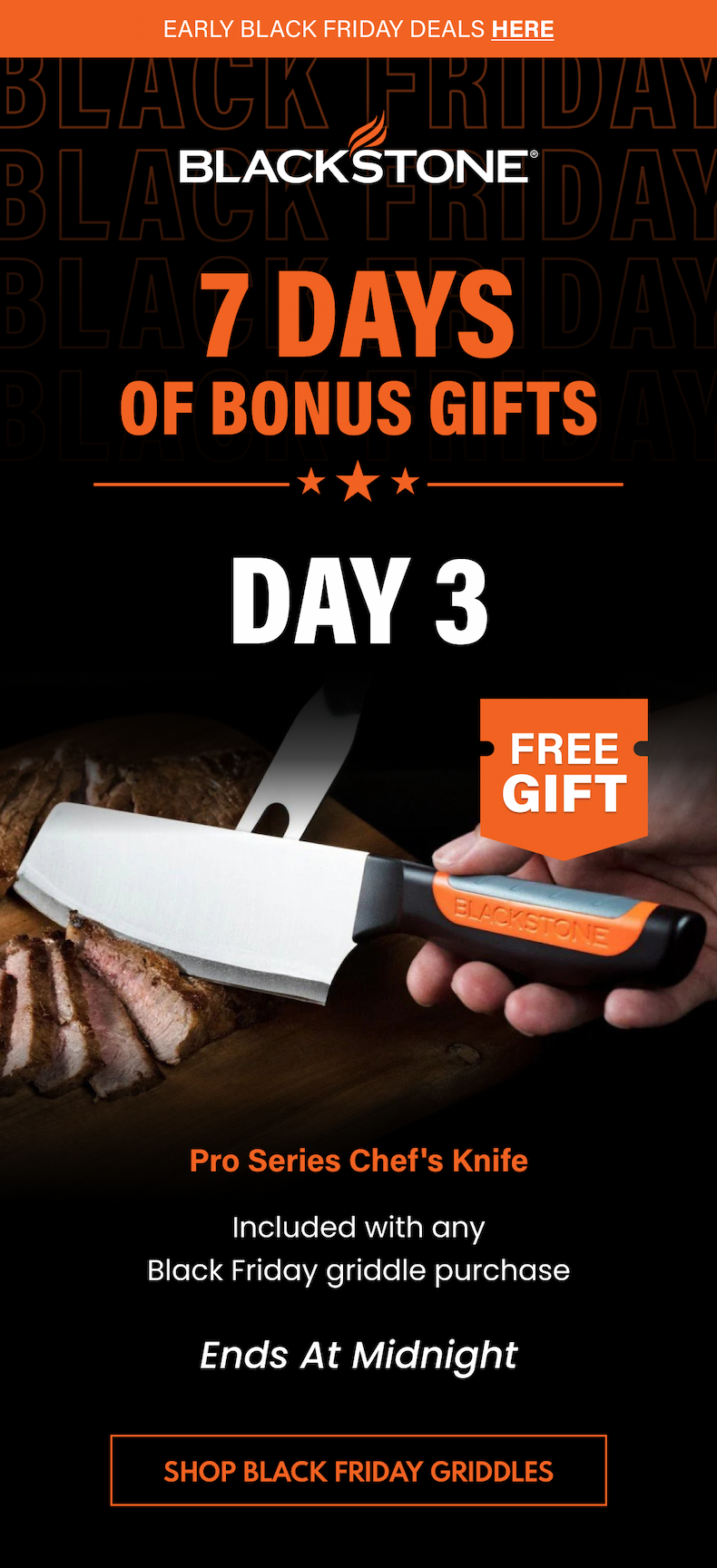 7 Days of Bonus Gifts : Day 3