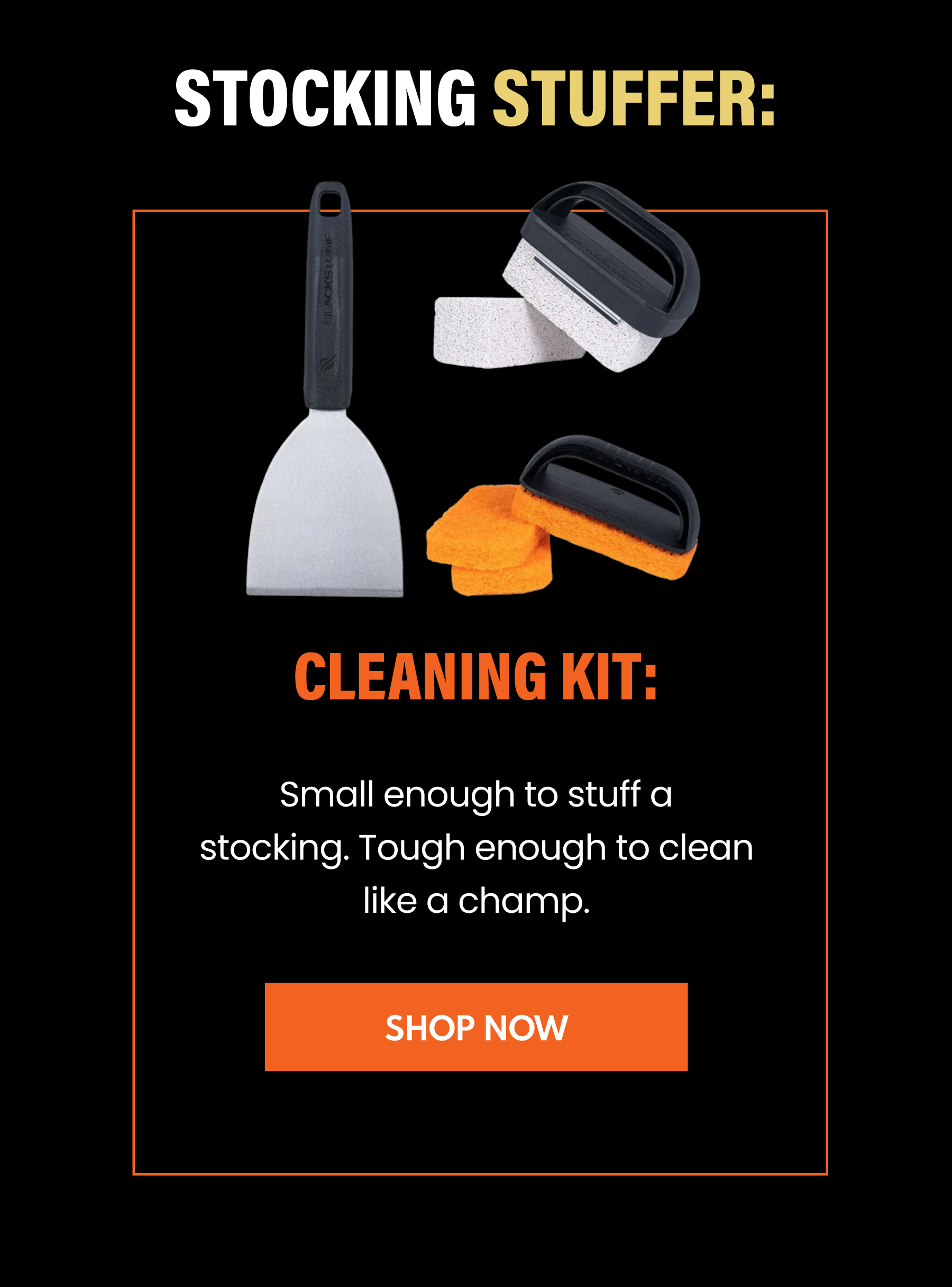 Cleaning Kit