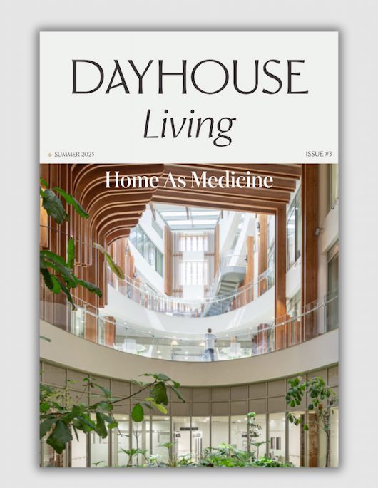 Dayhouse Living Issue 3 — Home as Medicine