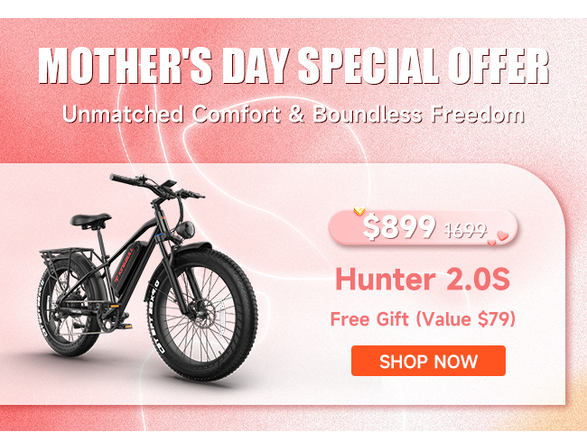Kingbull Hunter 2.0S | Mountain Fat Tire Electric Bike